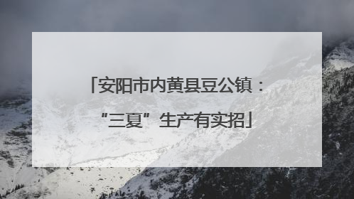 安阳市内黄县豆公镇：“三夏”生产有实招