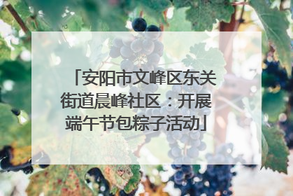 安阳市文峰区东关街道晨峰社区：开展端午节包粽子活动