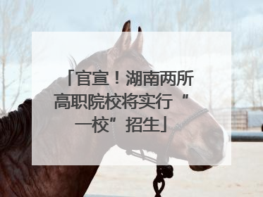 官宣！湖南两所高职院校将实行“一校”招生
