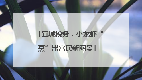宜城税务：小龙虾“烹”出富民新图景