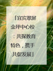 宜宾翠屏金坪中心校：共探教育特色，携手共促发展