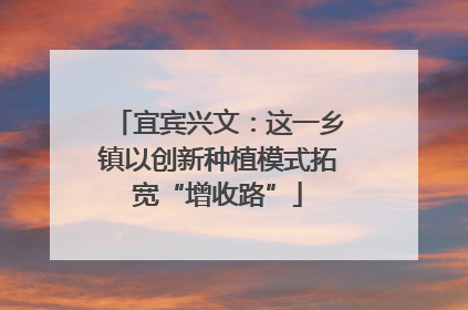 宜宾兴文：这一乡镇以创新种植模式拓宽“增收路”