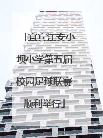 宜宾江安小坝小学第五届校园足球联赛顺利举行
