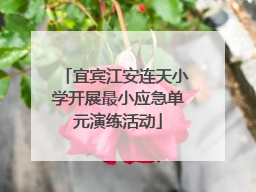 宜宾江安连天小学开展最小应急单元演练活动