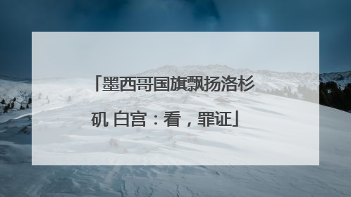 墨西哥国旗飘扬洛杉矶 白宫：看，罪证