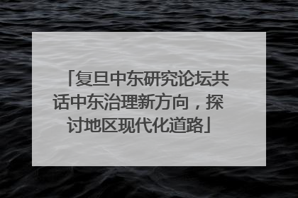 复旦中东研究论坛共话中东治理新方向，探讨地区现代化道路
