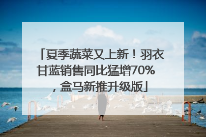 夏季蔬菜又上新！羽衣甘蓝销售同比猛增70%，盒马新推升级版