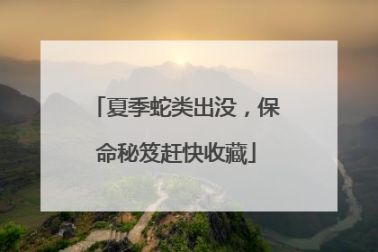 夏季蛇类出没，保命秘笈赶快收藏