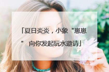 夏日炎炎，小象“崽崽” 向你发起玩水邀请