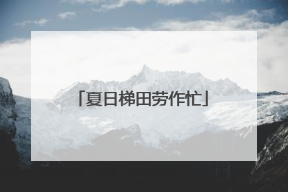 夏日梯田劳作忙