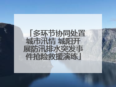 多环节协同处置城市汛情 城阳开展防汛排水突发事件抢险救援演练