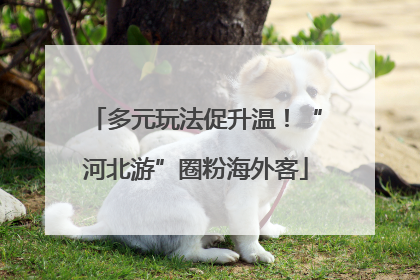 多元玩法促升温！“河北游”圈粉海外客