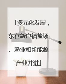 多元化发展，东营新户镇盐场、渔业和新能源产业并进