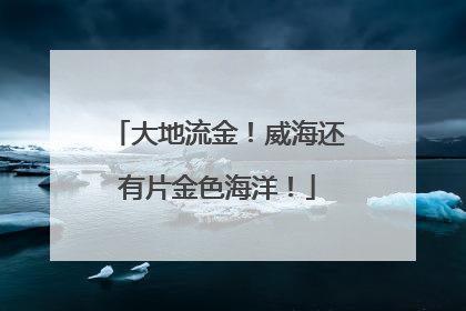 大地流金！威海还有片金色海洋！