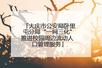 大庆市公安局卧里屯分局“一网三化”推进校园周边流动人口管理服务