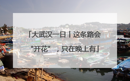 大武汉一日丨这条路会“开花”，只在晚上有