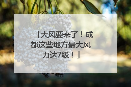 大风要来了！成都这些地方最大风力达7级！