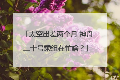 太空出差两个月 神舟二十号乘组在忙啥？