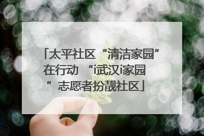 太平社区“清洁家园”在行动 “i武汉i家园”志愿者扮靓社区