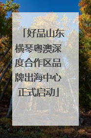 好品山东横琴粤澳深度合作区品牌出海中心正式启动