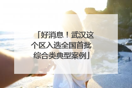 好消息！武汉这个区入选全国首批综合类典型案例