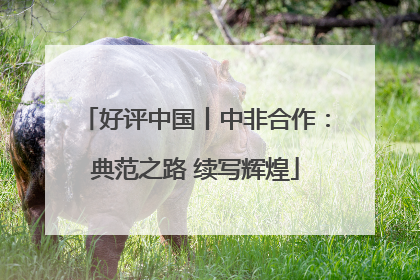 好评中国丨中非合作：典范之路 续写辉煌