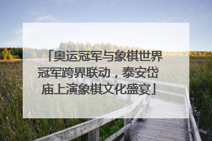 奥运冠军与象棋世界冠军跨界联动，泰安岱庙上演象棋文化盛宴