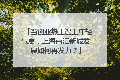 当创业热土遇上年轻气息，上海南汇新城发展如何再发力？