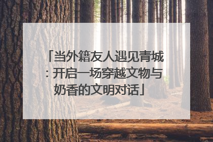 当外籍友人遇见青城：开启一场穿越文物与奶香的文明对话