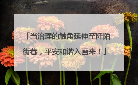 当治理的触角延伸至阡陌街巷，平安和谐入画来！