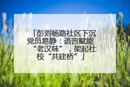 彭刘杨路社区下沉党员易静：语言赋能“老汉味”，架起社校“共建桥”