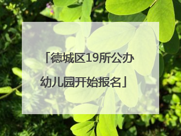 德城区19所公办幼儿园开始报名