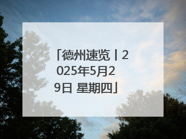 德州速览丨2025年5月29日 星期四