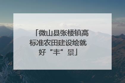 微山县张楼镇高标准农田建设绘就好“丰”景