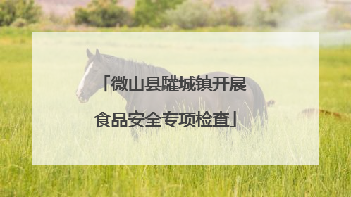 微山县驩城镇开展食品安全专项检查