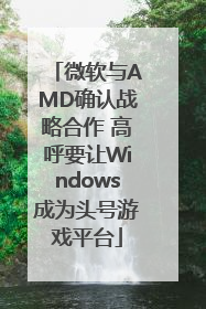 微软与AMD确认战略合作 高呼要让Windows成为头号游戏平台