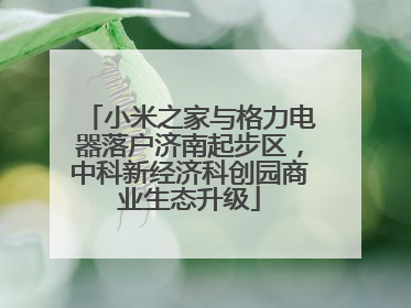 小米之家与格力电器落户济南起步区，中科新经济科创园商业生态升级