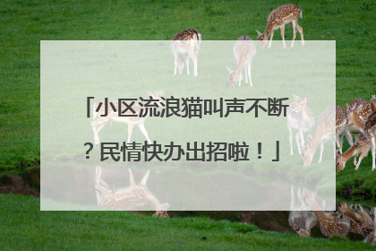 小区流浪猫叫声不断？民情快办出招啦！