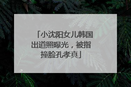 小沈阳女儿韩国出道照曝光，被指撞脸孔孝真