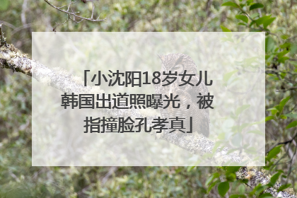 小沈阳18岁女儿韩国出道照曝光，被指撞脸孔孝真