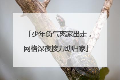 少年负气离家出走，网格深夜接力助归家