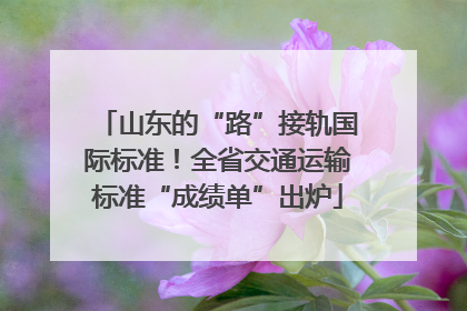 山东的“路”接轨国际标准！全省交通运输标准“成绩单”出炉