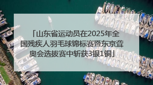 山东省运动员在2025年全国残疾人羽毛球锦标赛暨东京聋奥会选拔赛中斩获3银1铜