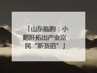 山东临朐：小鹅肝拓出产业富民“新赛道”
