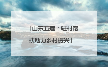 山东五莲：驻村帮扶助力乡村振兴