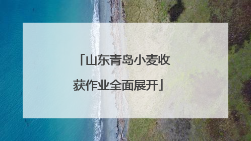 山东青岛小麦收获作业全面展开