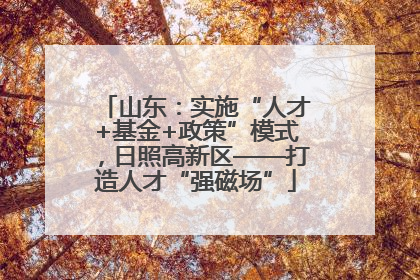 山东：实施“人才+基金+政策”模式，日照高新区——打造人才“强磁场”