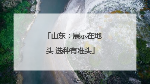 山东：展示在地头 选种有准头