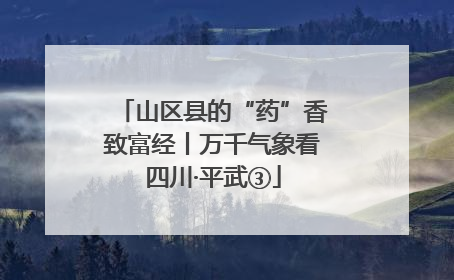 山区县的“药”香致富经丨万千气象看四川·平武③