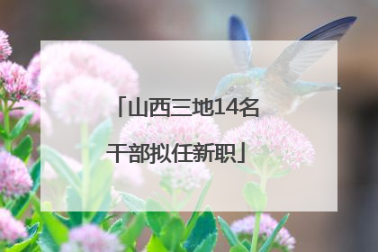 山西三地14名干部拟任新职